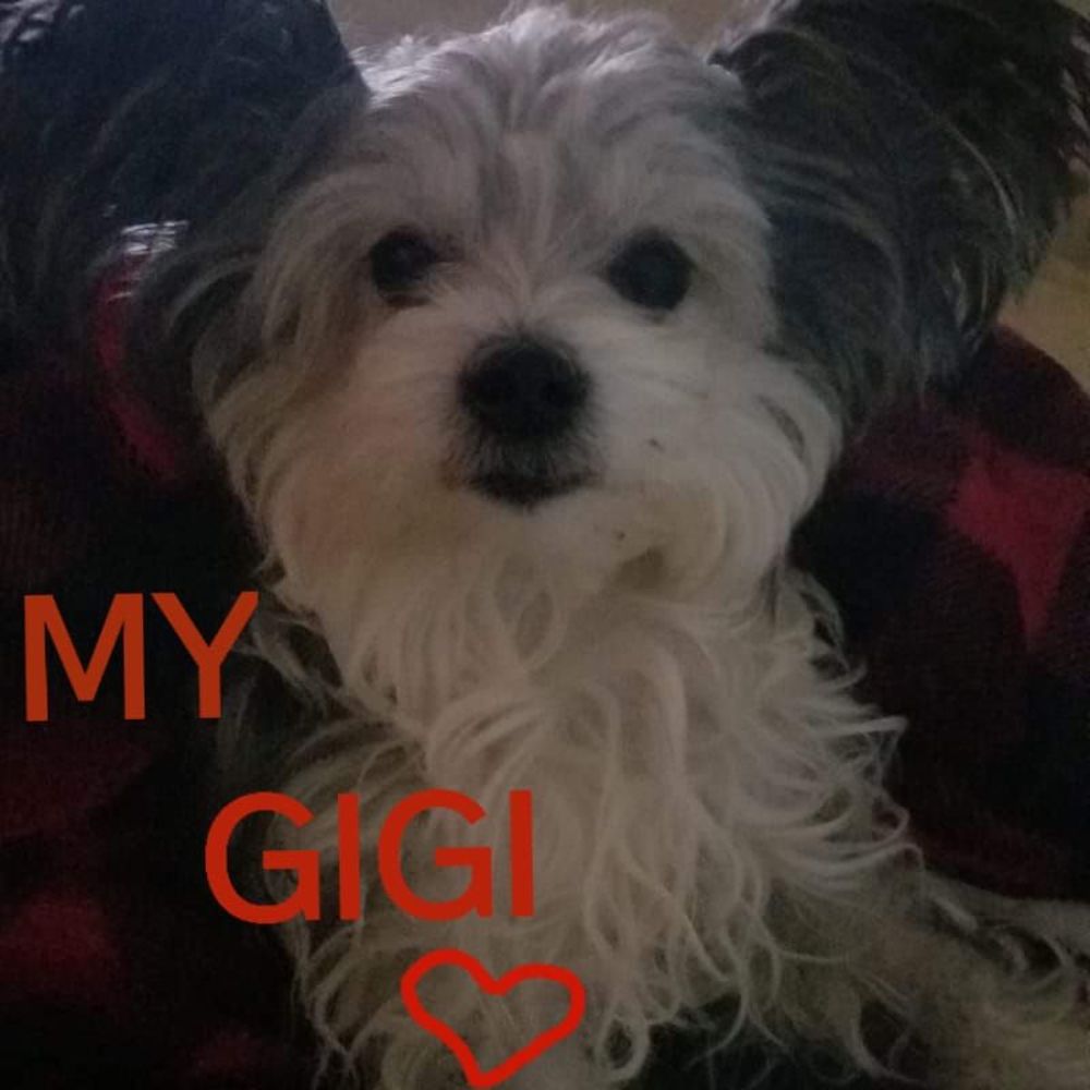 Meet your Posher, Chach